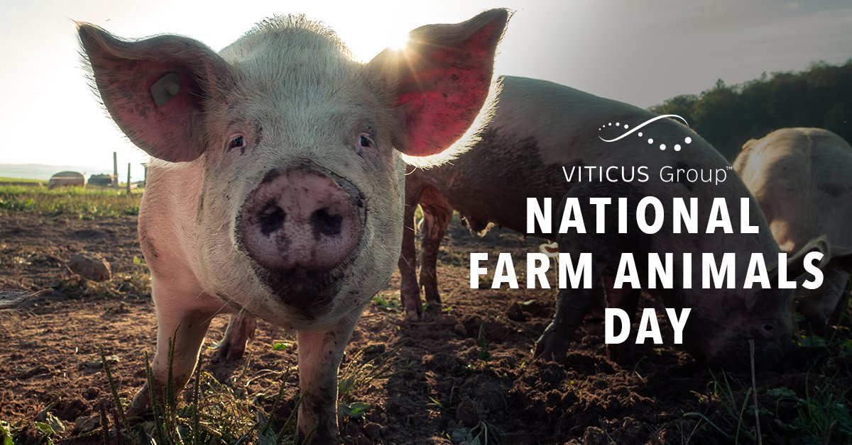 Viticus Group - Animal Health on Twitter: Viticus Group - Animal Health on Twitter: