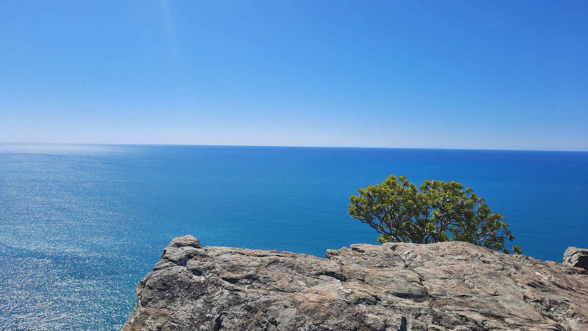 ClaudiaFiori72's tweet photo. I colori di oggi, parliamone
Sestri Levante 》Punta Manara 》Punta Baffe 》Moneglia
(Dell'assurda deviazione su un sentiero da capre che non finiva mai ne parleremo un giorno davanti a un bicchiere di vino...) https://t.co/ubrK425UG5