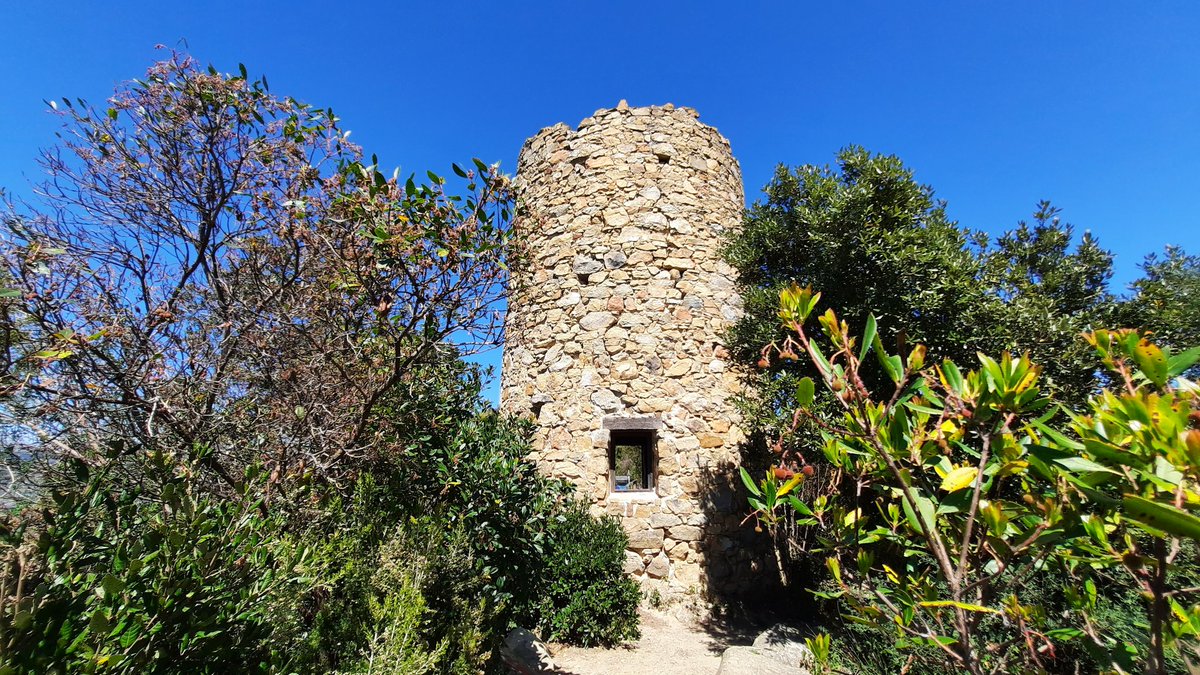 ClaudiaFiori72's tweet photo. I colori di oggi, parliamone
Sestri Levante 》Punta Manara 》Punta Baffe 》Moneglia
(Dell'assurda deviazione su un sentiero da capre che non finiva mai ne parleremo un giorno davanti a un bicchiere di vino...) https://t.co/ubrK425UG5