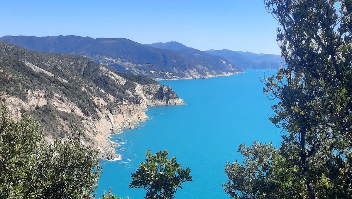 ClaudiaFiori72's tweet photo. I colori di oggi, parliamone
Sestri Levante 》Punta Manara 》Punta Baffe 》Moneglia
(Dell'assurda deviazione su un sentiero da capre che non finiva mai ne parleremo un giorno davanti a un bicchiere di vino...) https://t.co/ubrK425UG5