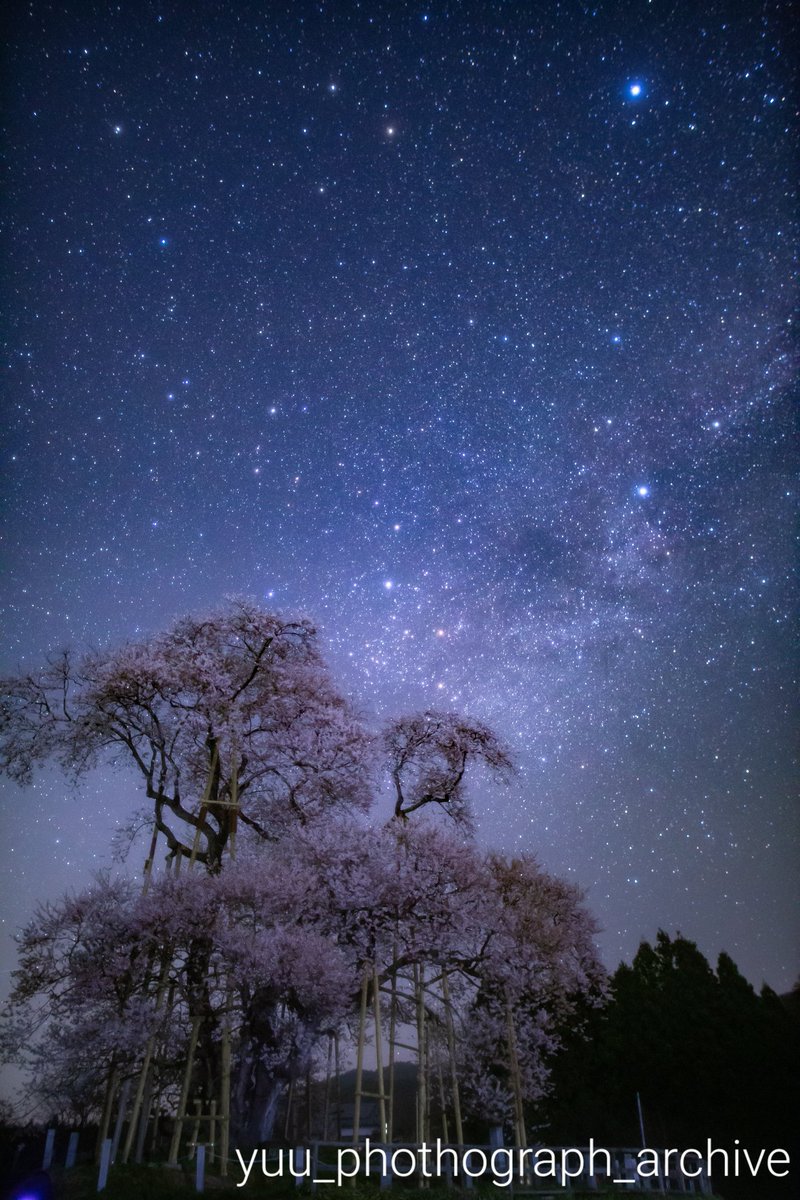 戸津辺の桜と天の川🌌🌸 #天の川 #桜 #戸津辺の桜 #cherryblossom #星空 pic.twitter.com/mSp0I5ORWa