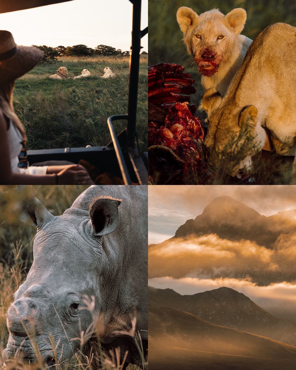 Unforgettable moments in South Africa. Gm happy Sunday ✨
