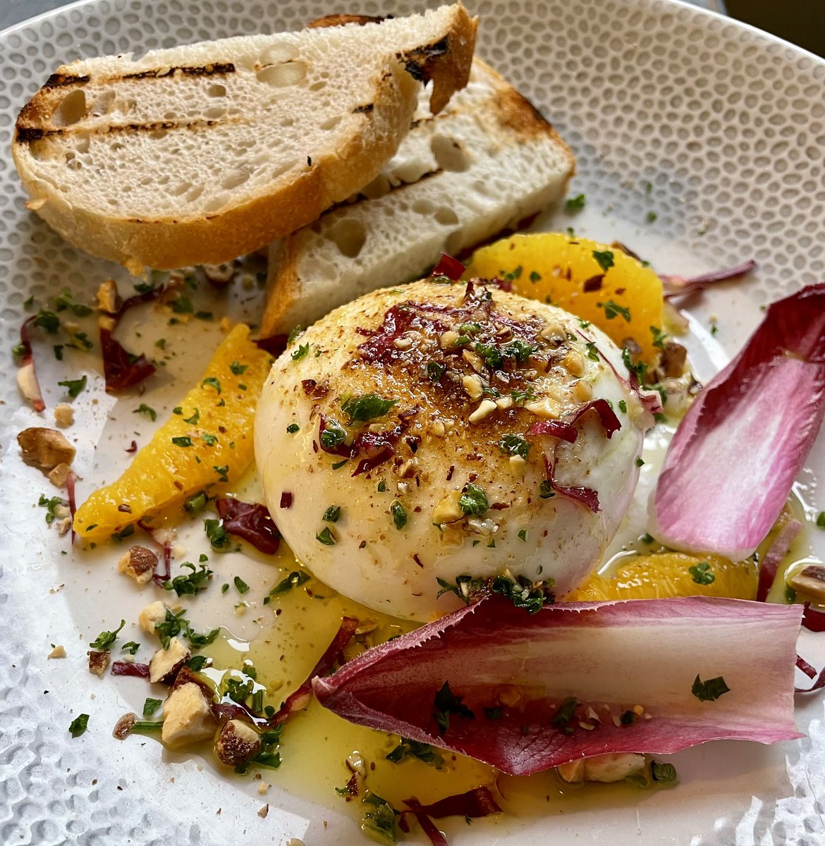 I’m wasting Creamy Burrata, ruby endive, orange, smoked almonds and sourdough 🤌🏻
