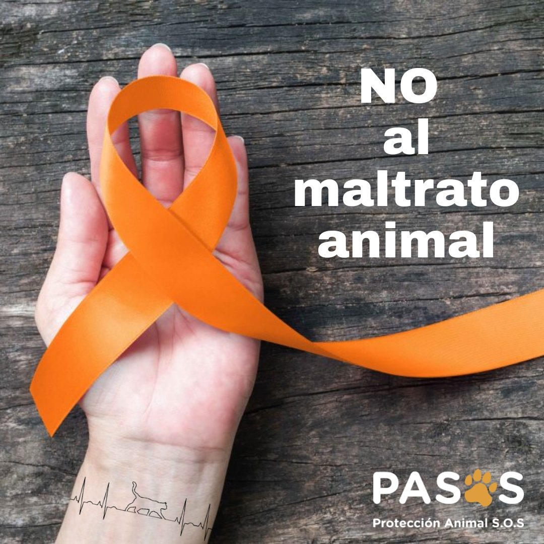 Protección Animal SOS- PASOS🐾 tweet media