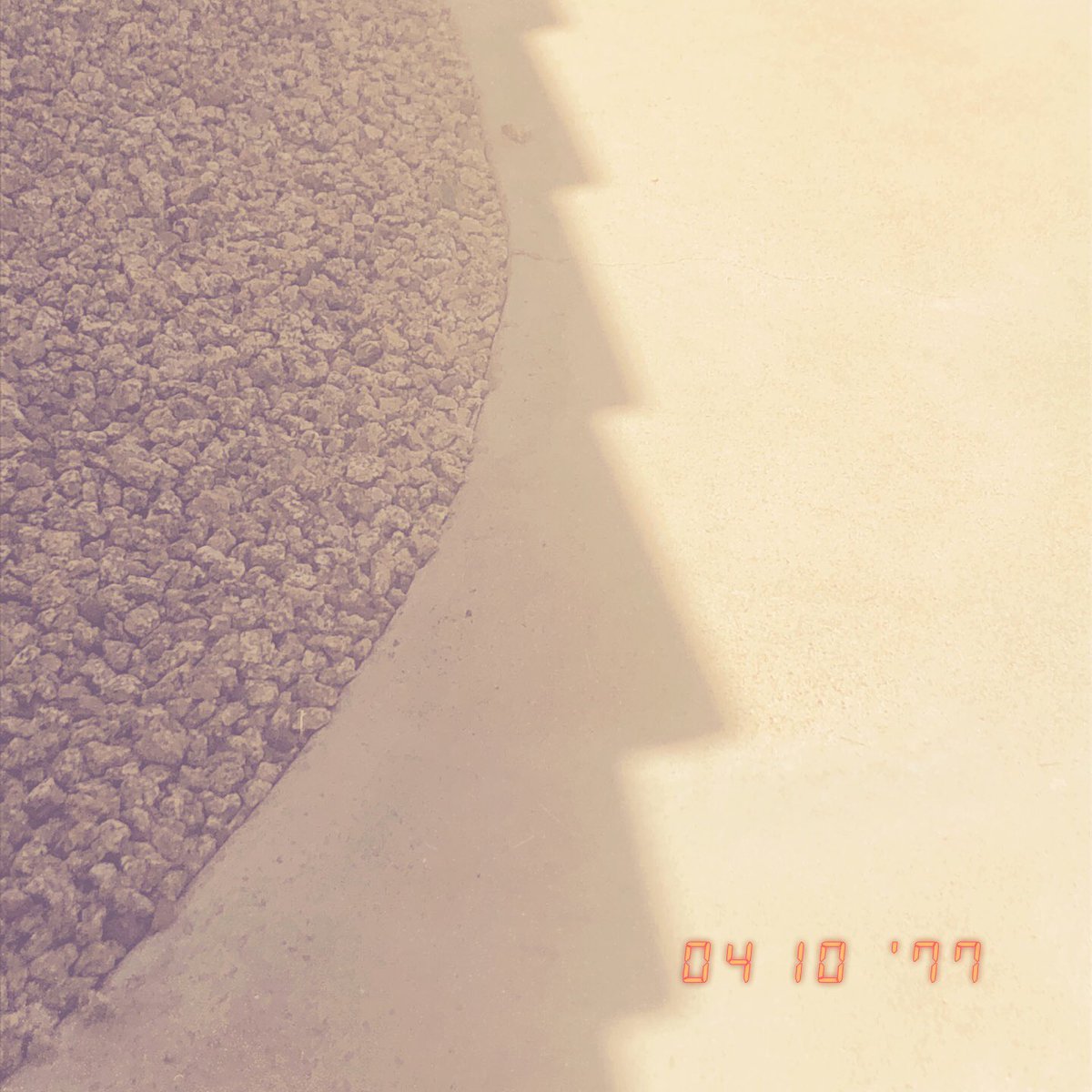 Chasing Light (@artificiallense) on Twitter photo 