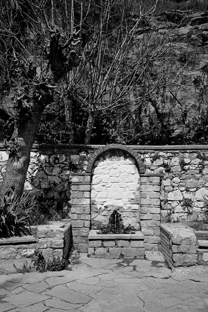 StelThIak's tweet photo. μ[w]alk   [2/2]
#urbannature #parks
#urbanlandscape #cityscape
#rawphotography #snapshot
#chemicalphotography
also known as #analogphotography
#monochromaticphotography
#blackandwhitephotography
#adox #silvermax #35mm
#rodinal #μII #mjuII
#Θεσσαλονίκη #Thessaloniki
📷ΣΔ (2022) https://t.co/iwFyblvQba