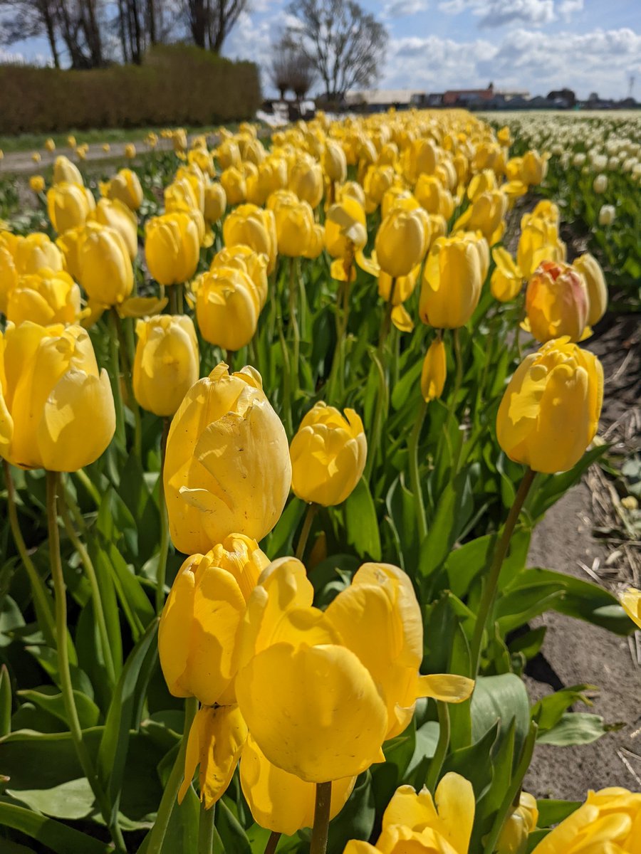 IreneBenzop's tweet image. Domani udienza preliminare. Giuli 💛 #veritapergiulioregeni