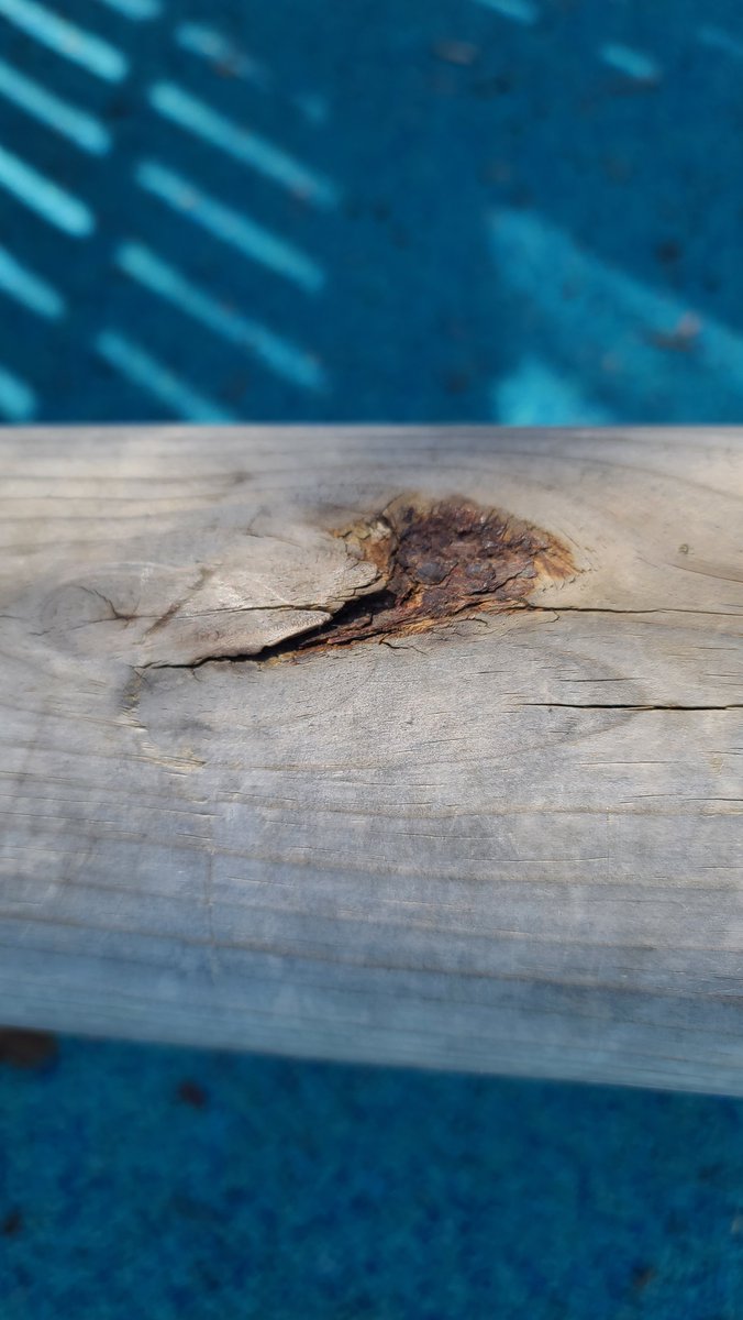 Epicstaxis tweet media