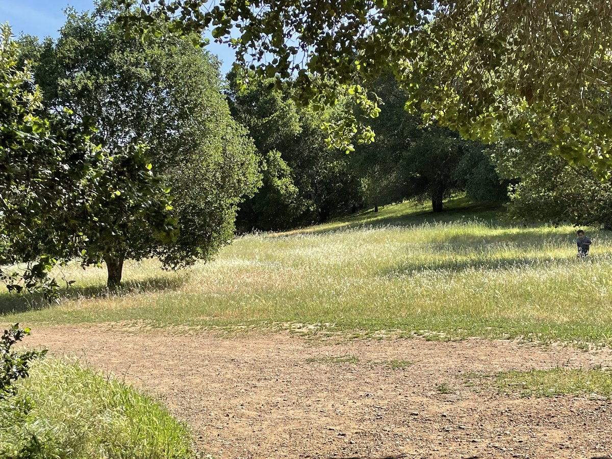 Hanging out in the meadow-verse, today.