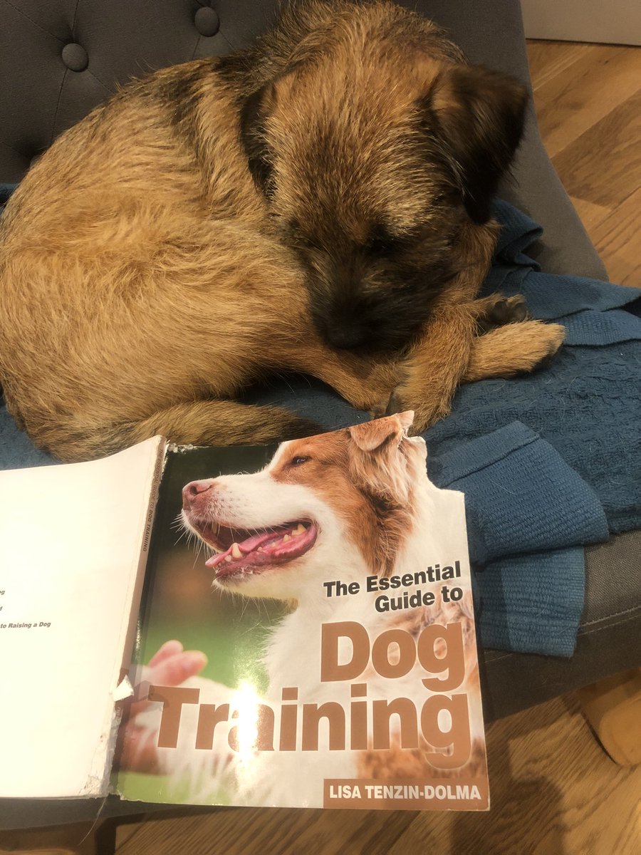 Nuffin to do wit me!