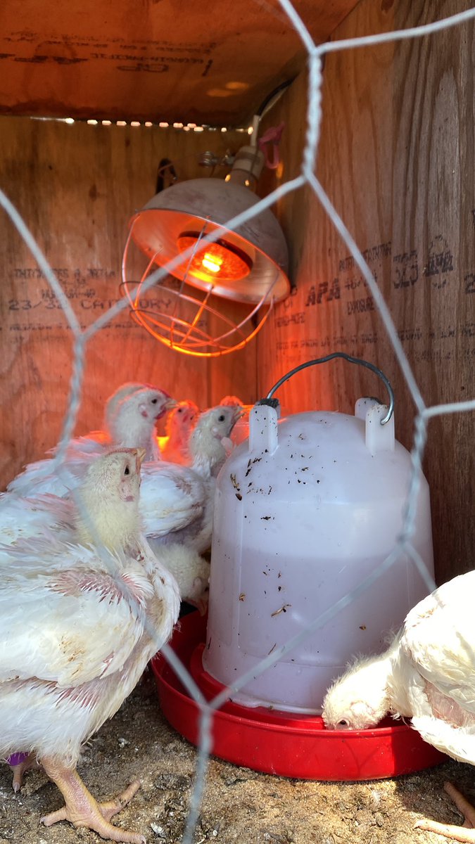 Hope Mills Middle Agriculture & FFA tweet media