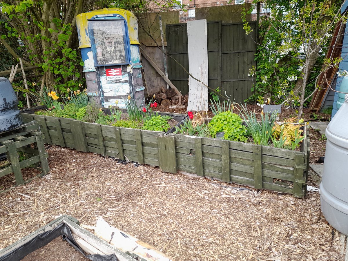 local_plot's tweet image. I know its an allotment but just check out these blooms while we are waiting for the veg to grow...@StPrescot @smalmarg2012 @Joburkegreengal @FriendsDrive @InnovateCIC @theleecooper_f @ActforAction1 @AlsClubKnowsley @FOESP @MissionPrescot @TownPrescot