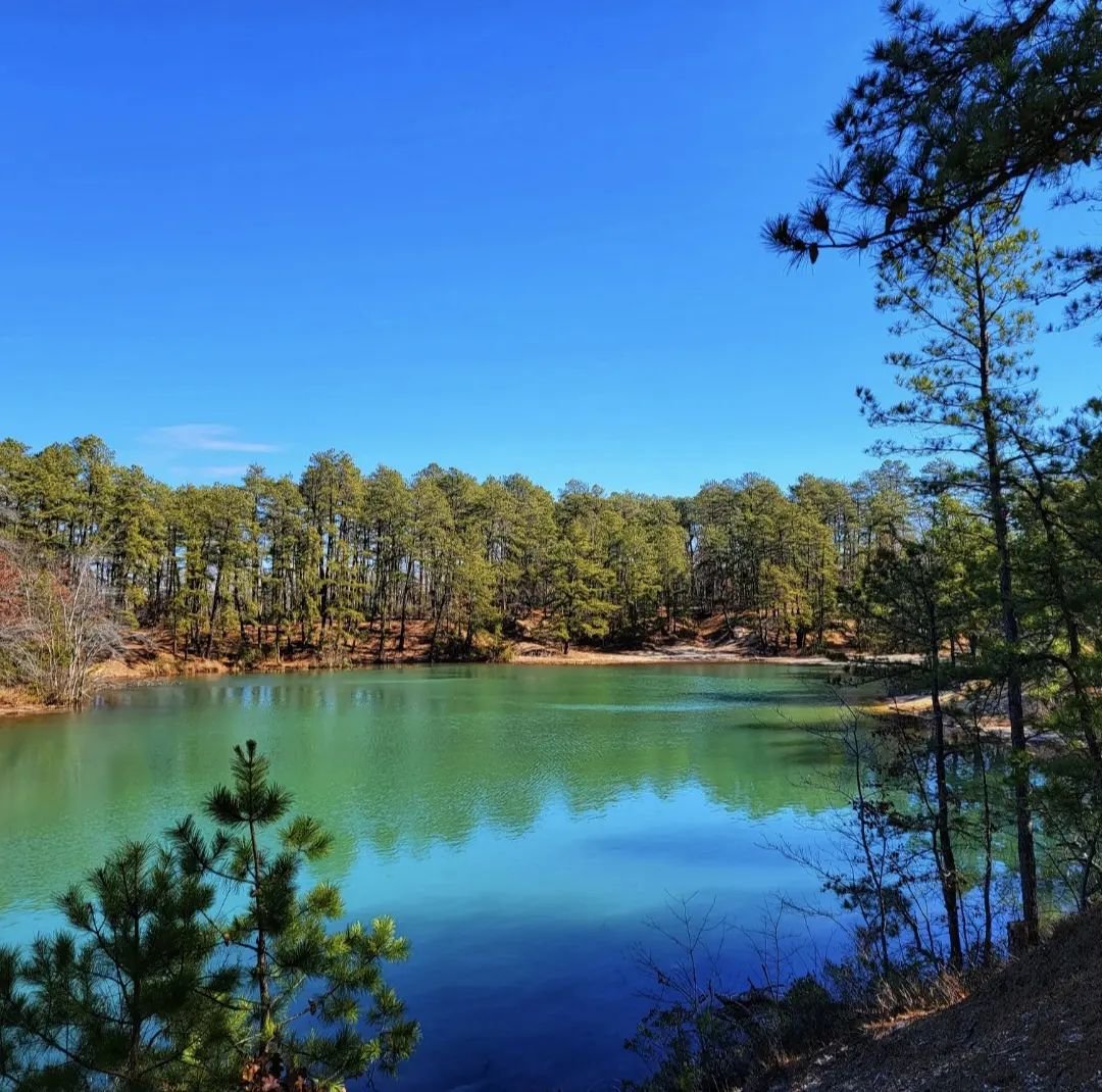 Visit_NJ's tweet photo. This is your mid-day reminder to take a second, look at this view, and breathe. 
📍 Pine Barrens, New Jersey
.
.
.
📷: @gvickyg (via Instagram)
#VisitNJ #NewJersey #PineBarrens #NJTrails #NJHikes #ThisIsNJ https://t.co/qFoQxBIMgy