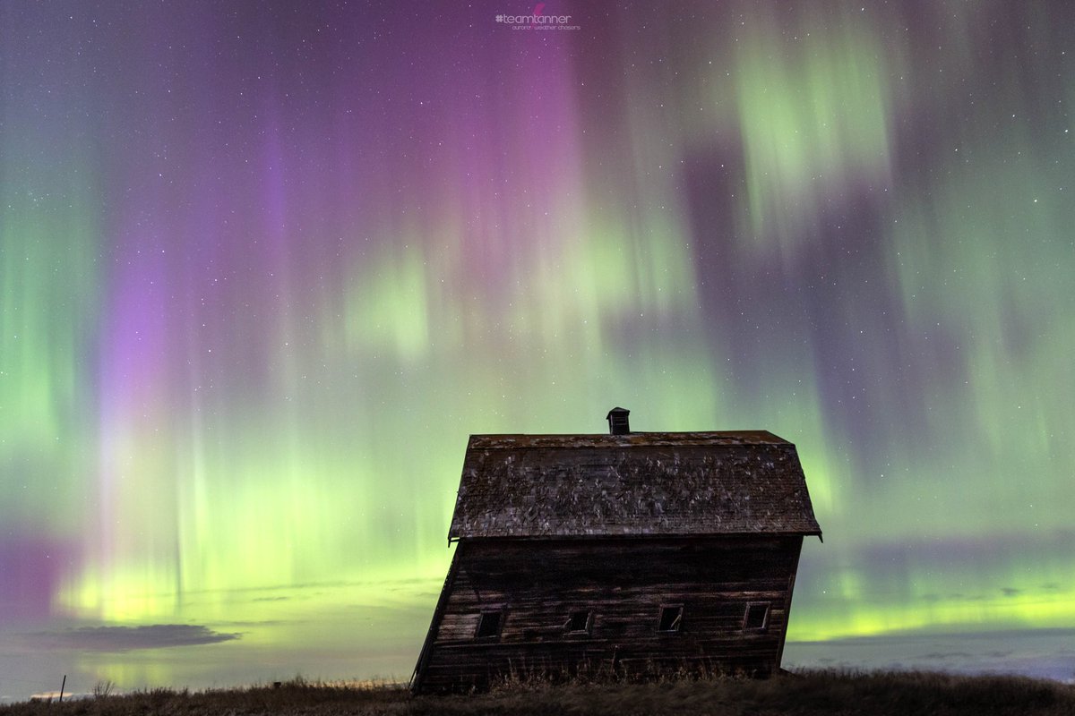 dartanner's tweet photo. WOW!!😱😍 that’s all I keep saying  about the G3 storm last night! #alberta #aurora #northernlights #TeamTanner @treetanner @TamithaSkov @chunder10 @NightLights_AM @weathernetwork @PeakToSailPhoto @GirlsWhoChase @mikesobel @ScottWx_TWN @MatthewCappucci @saloplarus https://t.co/cdFwNPwCpP