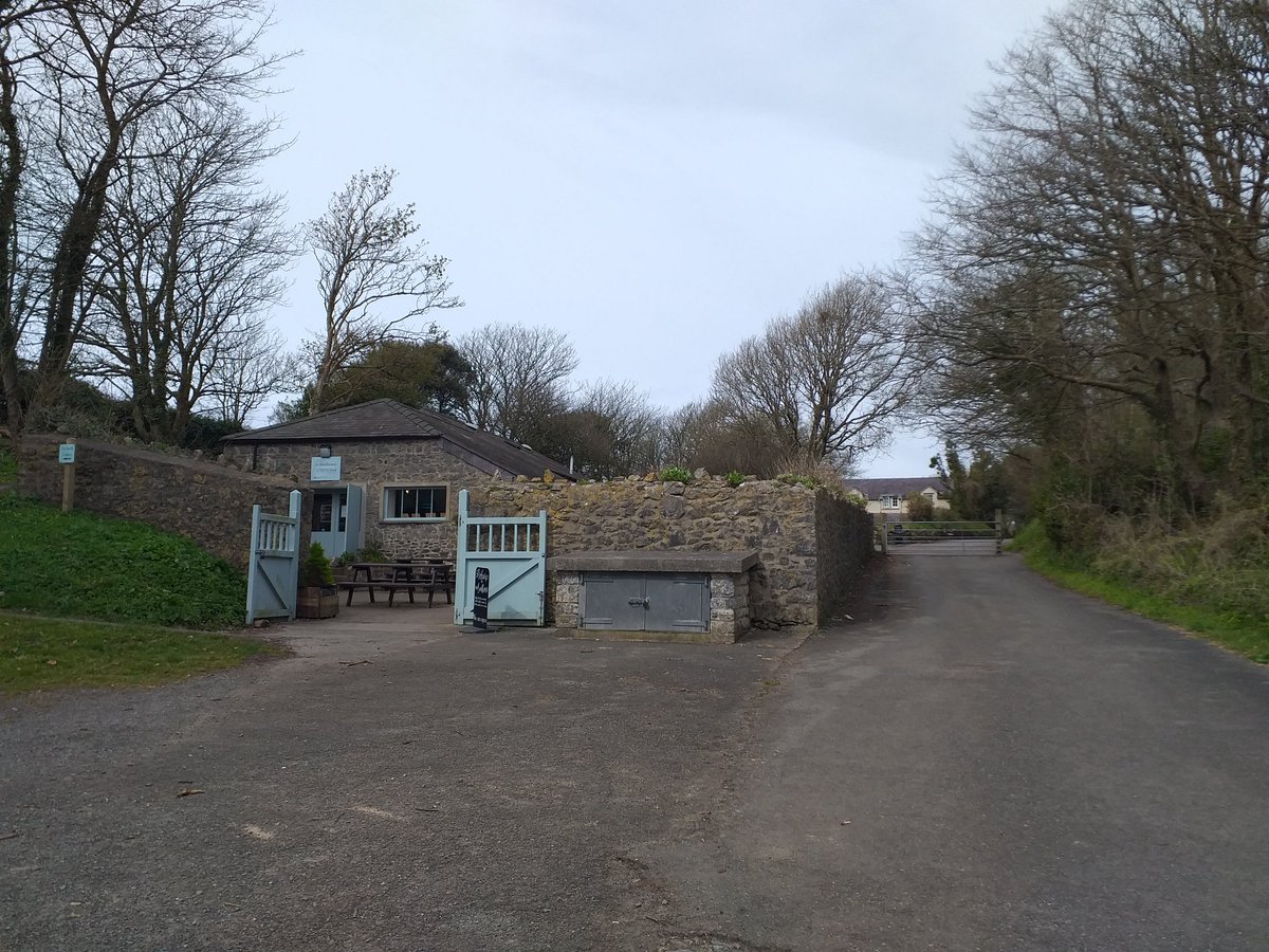Sharonmuskebear's tweet photo. #ThirdStar
#StackpoleQuay https://t.co/R88yESDGAY