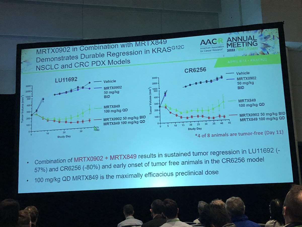 HartungIngo's tweet photo. Introducing Mirati’s #SOS1 inhibitor #MRTX0902. Structurally related to Bayer’s & BI’s leads, some core & decoration fine tuning to clean up AO & DDI liabilities. In line with the rationale, strong combination benefit with inhibitors of KRas G12C, EGFR, RAF/MEK. #AACR22 @Mirati https://t.co/J9EnXXuoDj