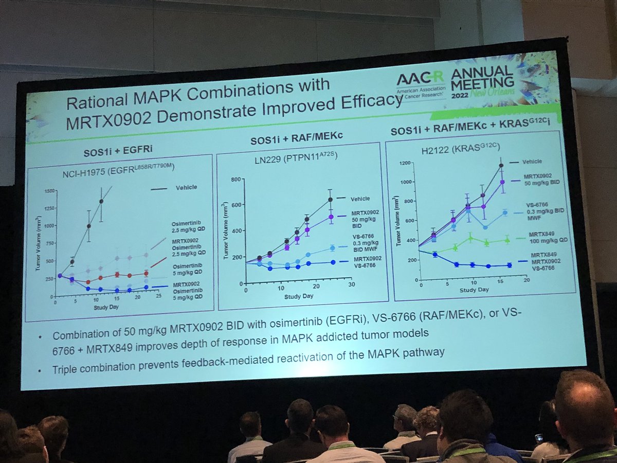 HartungIngo's tweet photo. Introducing Mirati’s #SOS1 inhibitor #MRTX0902. Structurally related to Bayer’s & BI’s leads, some core & decoration fine tuning to clean up AO & DDI liabilities. In line with the rationale, strong combination benefit with inhibitors of KRas G12C, EGFR, RAF/MEK. #AACR22 @Mirati https://t.co/J9EnXXuoDj
