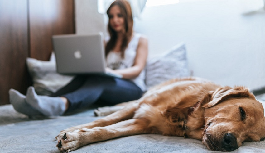 This Sunday I'm wasting my time lying at home doing nothing.