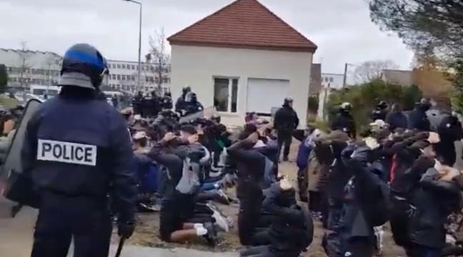 Paulette La Reine Des Paupiettes tweet media