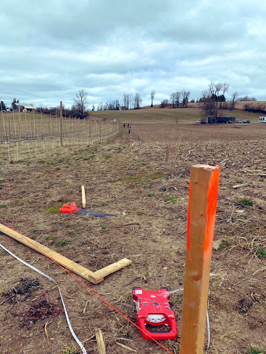 Helping out a Farmer on a Sunday, laying out a new High Density Orchard. Adding 7.5 acres of Apple trees, 38 rows to layout. Planting over Easter Long Weekend. #OntarioApples