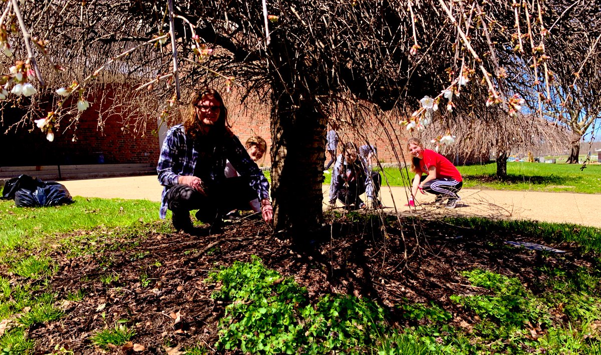 Keaton_EngTeach's tweet photo. @JacketsMvhs @MVHSKeyClub did an amazing job tidying up their landscaping contribution of last summer. I ❤️ them and their service hearts to pieces! @mrC_MVHS @JacketJournalMV https://t.co/4BP0bA715M