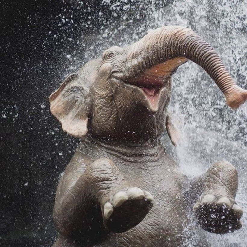 Nature is Lit tweet media