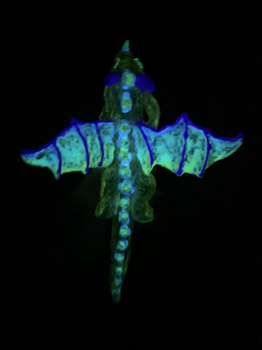 🌈Charlie is a Good Boy🌈 tweet media