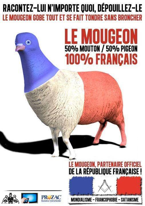 fafaleterible's tweet photo. Les 28% voilà comment je vous vois https://t.co/RbDX8a7O0s