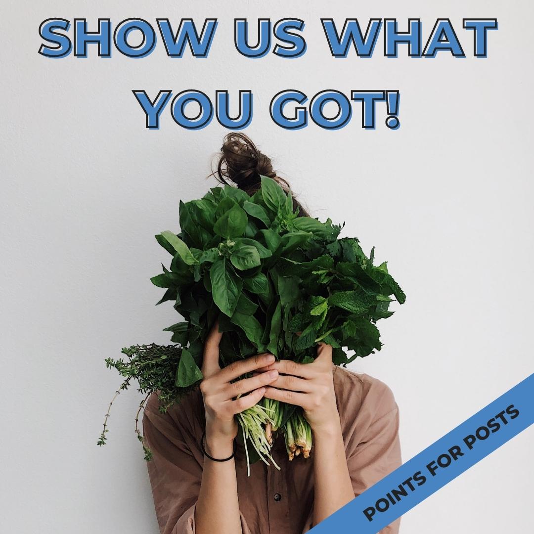 DirectFood.store tweet media