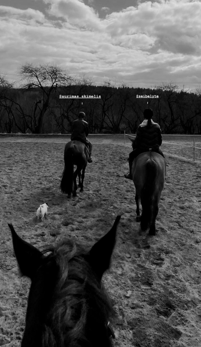 scientiefic's tweet photo. 🐴🐎 https://t.co/cAHW1oCaA2