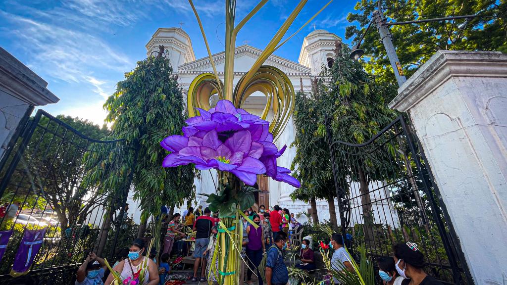 teledos_tcs's tweet photo. Con el Domingo de Ramos 🌿 se da inicio de manera oficial a la Semana Santa. En #Sonsonate la feligresía católica ha vivido con mucho fervor las diferentes actividades que la iglesia ha realizado. #TL2 https://t.co/RAP8a9dSNs