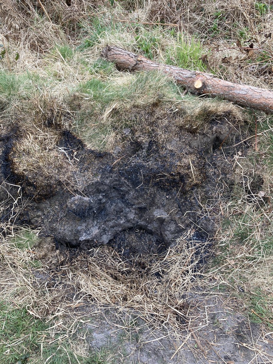 These two little shits were caught red handed this afternoon blocking up and setting fire to a Foxes den. Please Twitter, let’s make them famous 
<a href="/ChrisGPackham/">Chris Packham</a> @Keeptheban_ 
<a href="/DorsetWildlife/">Dorset Wildlife Trust</a>