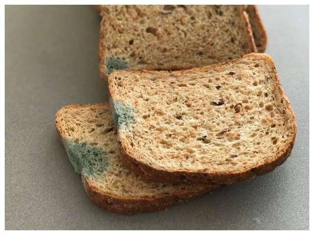 subpharmacist's tweet photo. This simple things can save you:
1. Don’t eat moldy bread
2. Don’t eat moldy groundnut
3. Don’t cook and eat spoilt tomatoes
4. Don’t eat moldy corn
5. Don’t heat and eat moldy food

Don’t eat or cook and eat any food that has molds on it, they can harm your liver.

RT https://t.co/hfUrIEQovv