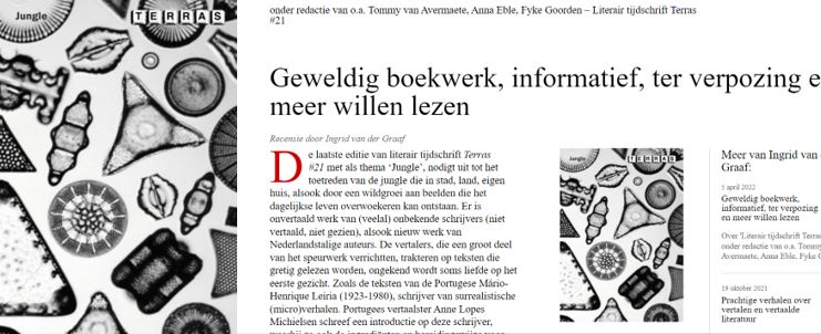 15: Slory, Hettinga; Bishop, Bernlef - mailchi.mp/a63c769e1330/1…