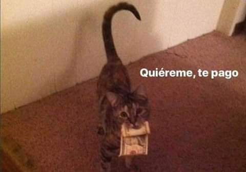 ;; Literalmente usser Entrando al fandom de Tokyo Revenger pa rolear be like:
