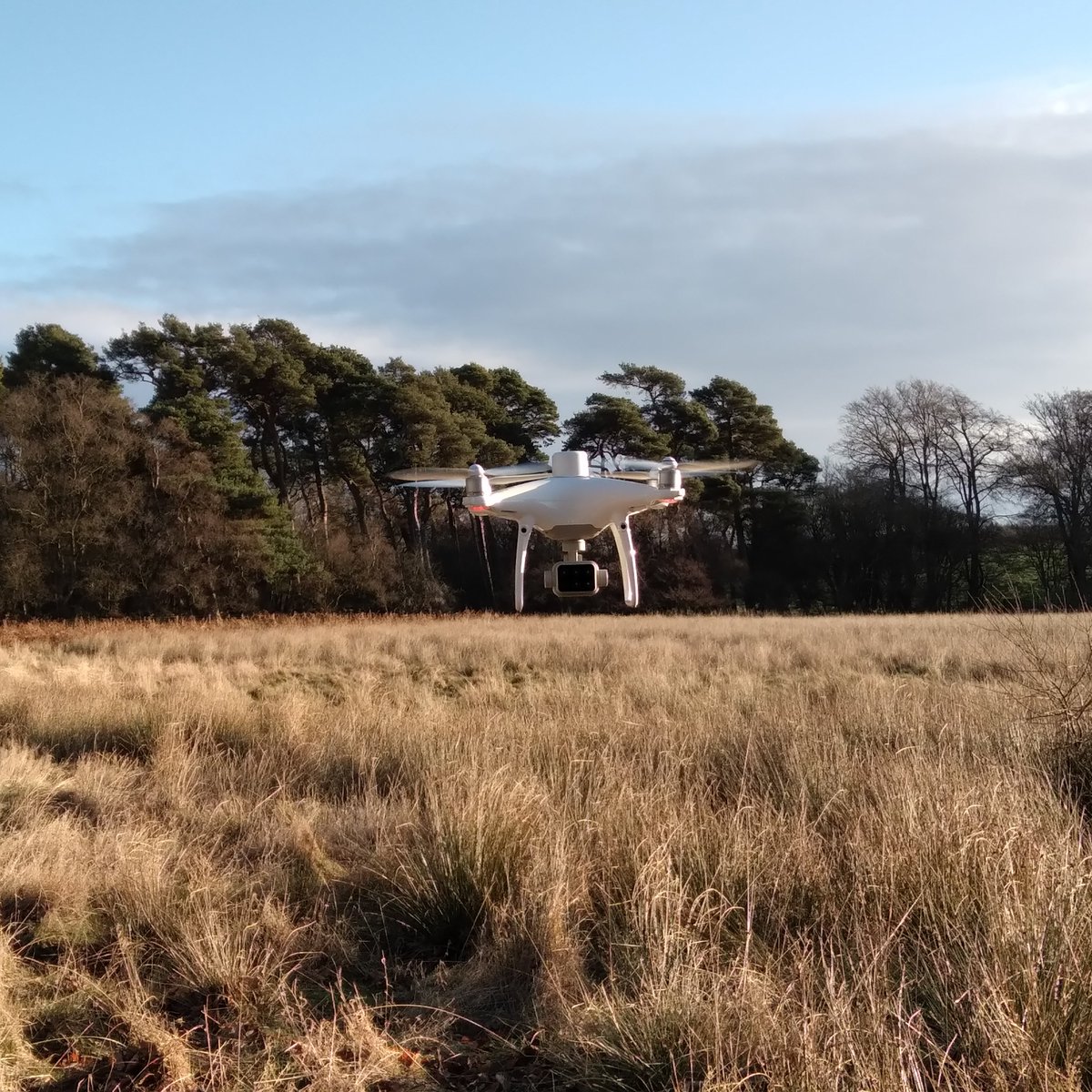 Monitor, measure and quantify habitats using drones to make efficient decisions using real-time data! Find out more at wilddatadrones.com #dronemapping #uavmapping #ecology #habitat #forestry #conservationresearch #wilddatadrones