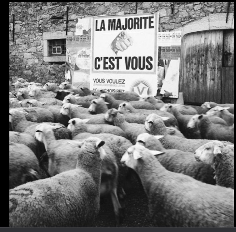CharlesElmart's tweet photo. #presidentielles2022 https://t.co/frOsyviomY