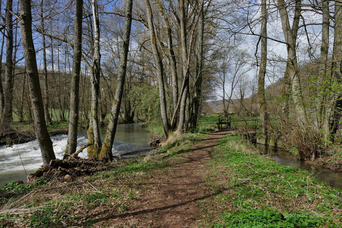 HessenSonja5767's tweet photo. Spaziergang bei Biskirchen.............. #Leun #Biskirchen #Ulmbach #Natur #Lahn #Lahntal #LahnDillKreis #LDK #Mittelhessen #Hessen #Germany https://t.co/wHue94YRgU