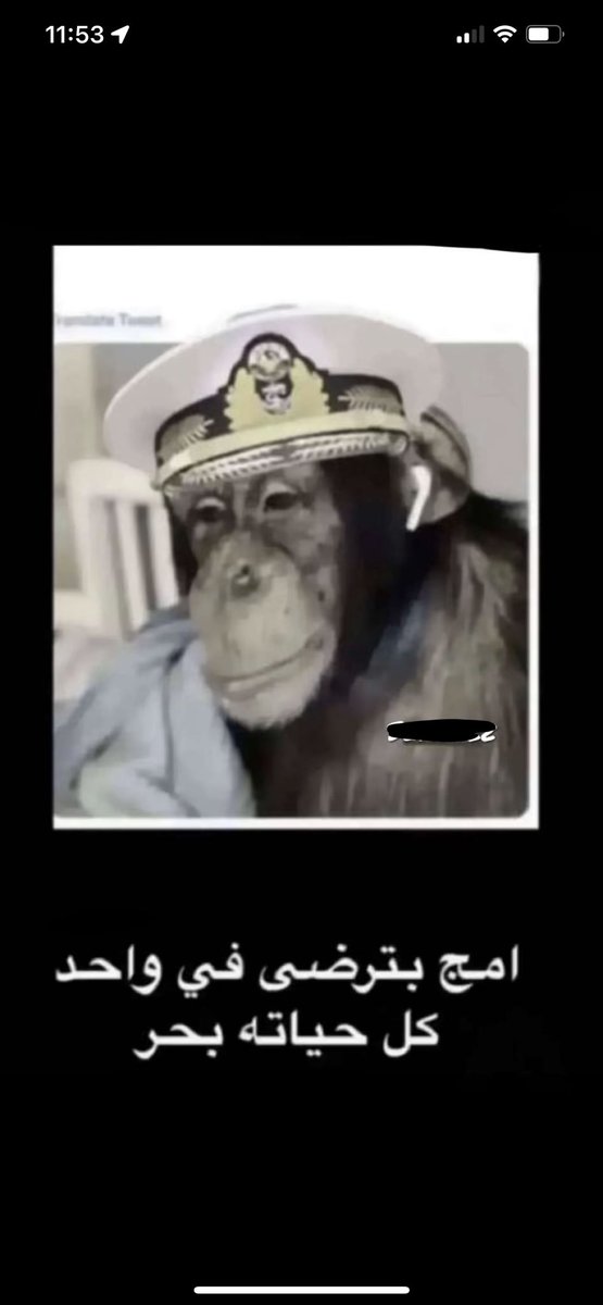 outofcontrol_z's tweet image. 