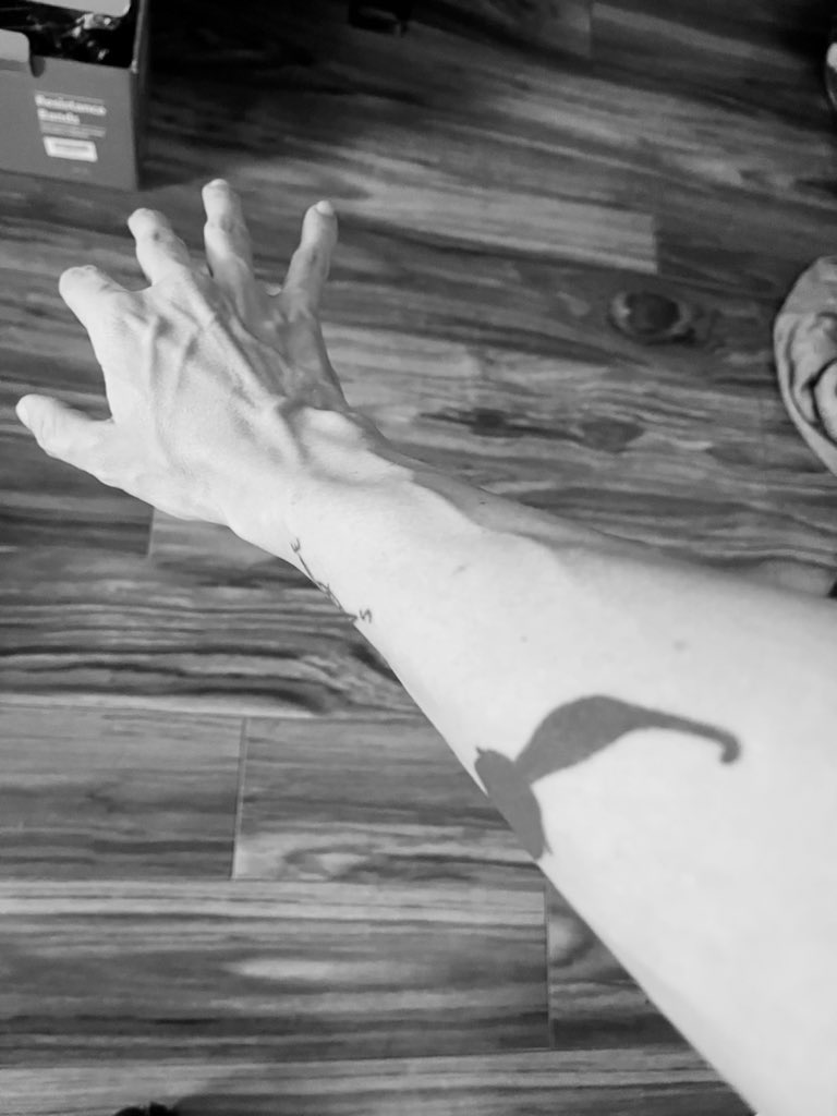 Shameless🌶 tweet media