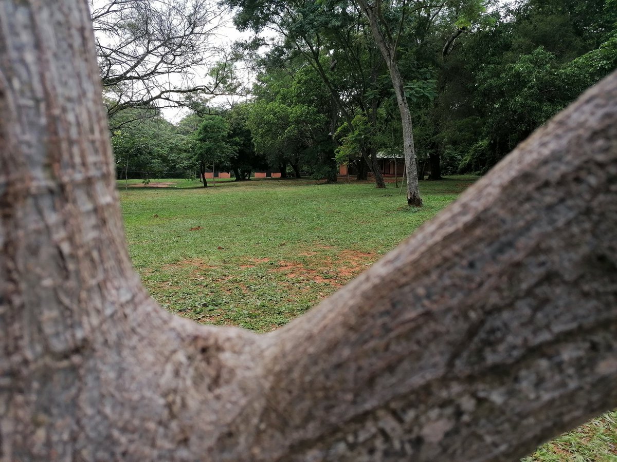 Gustavo Vallejos (@7_yummy) on Twitter photo 
