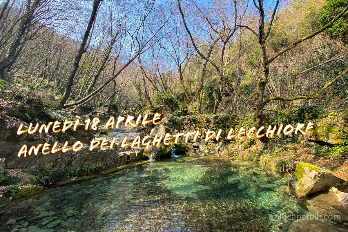 PonentEx's tweet photo. Lunedì 18 aprile cammineremo nel suggestivo bosco di #Dolcedo lungo un itinerario ad anello che passerà dai magici laghetti di #Lecchiore

ℹ️ Scheda escursione: https://t.co/z9yW30wNOr

#lamialiguria #liguria #inliguriapuoi #orgoglioliguria #beactiveliguria #ponenteexperience https://t.co/PsseOyHz84