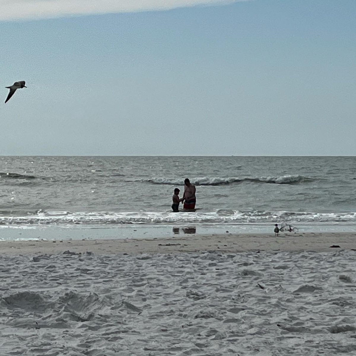 gooser2003's tweet photo. Fun Spring Break https://t.co/yfo9eIfrrh