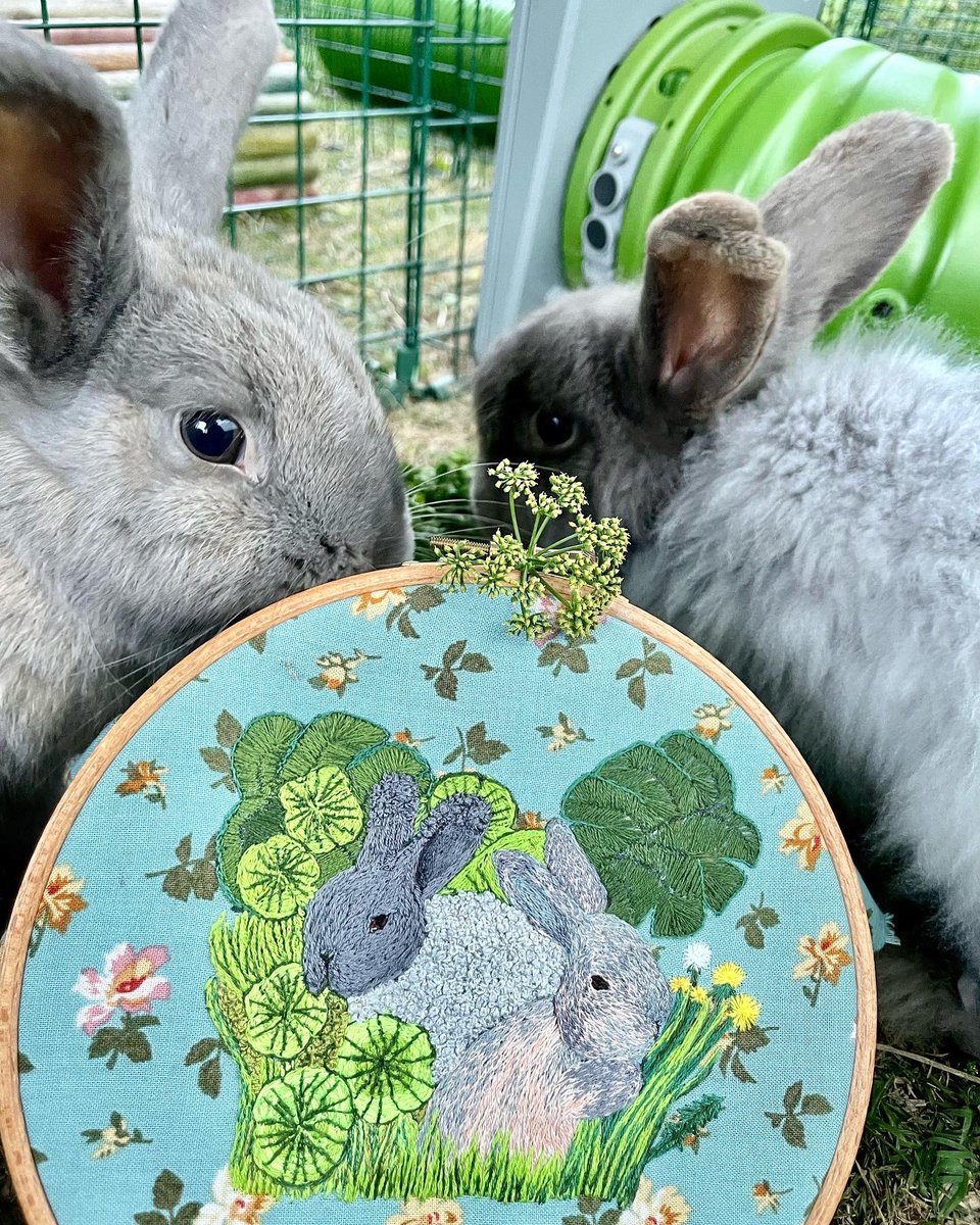 Emiloly's tweet photo. @hankgreen I agree. I only want good things said to me. Please enjoy this photo of my baby buns and my embroidery. https://t.co/wx8LQU3J4L