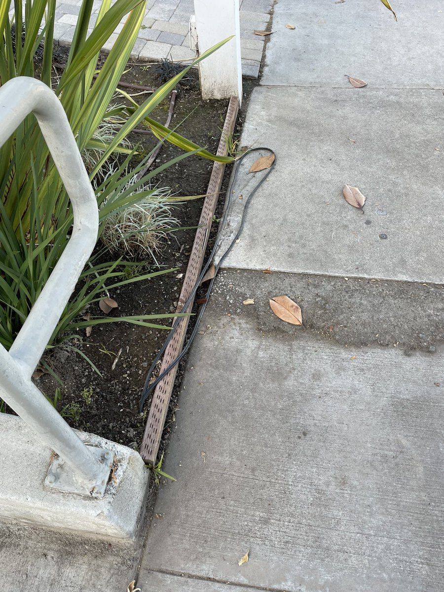 This is not a snake.