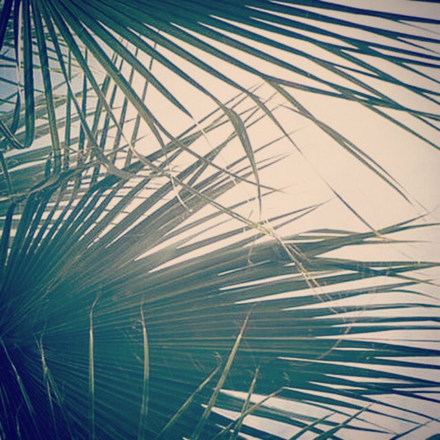 Rachel Hellwig tweet media