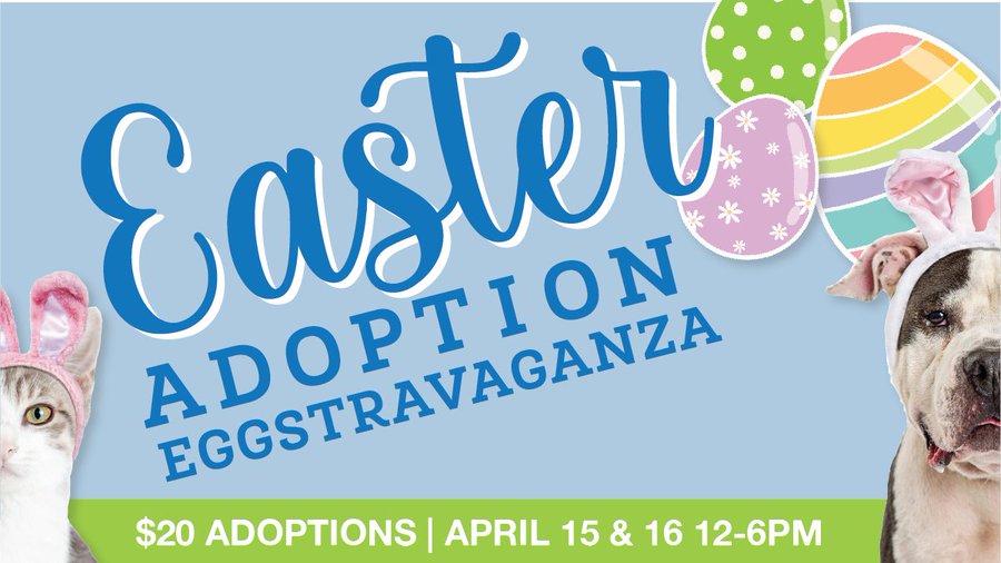 Memphis Animal Services' Easter Adoption Eggstravaganza 