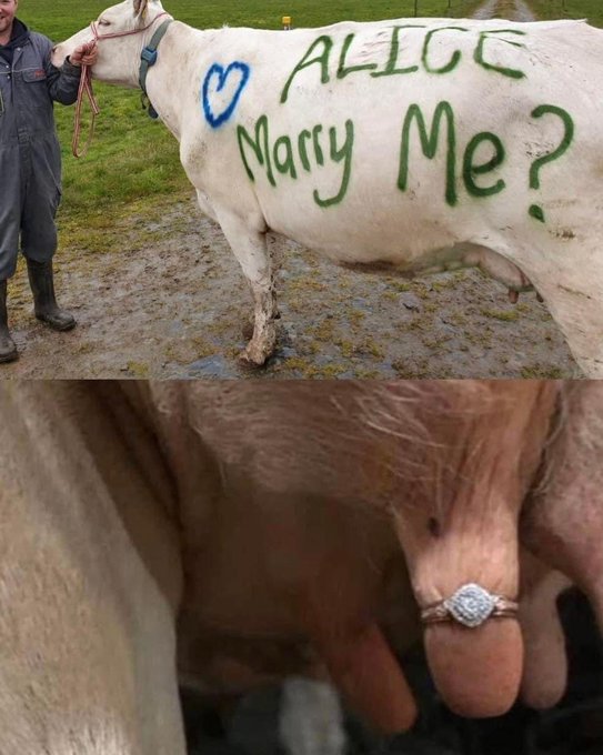 matrimony