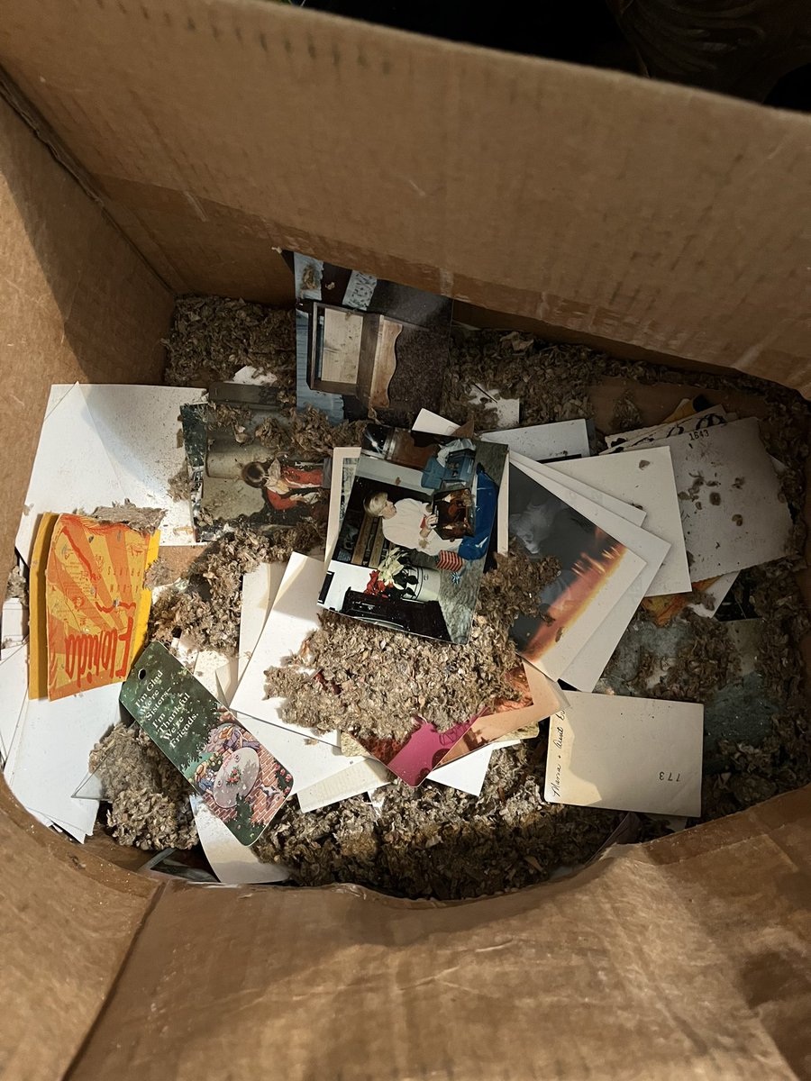 MamaMonstrosity's tweet photo. 67 years of collecting photos of people most precious to you and it all ends up in a soggy box full of dirt and fiberglass https://t.co/4LF25mCUPX