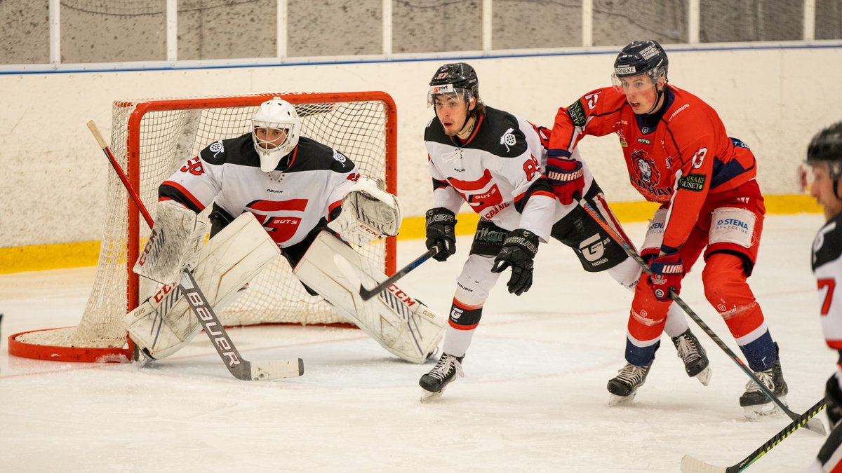 Hanhals Kings tweet media